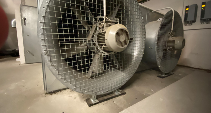 Ventilator einer Kälteanlage
